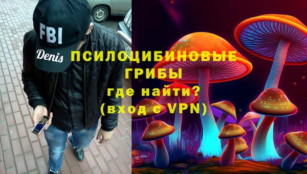 сатива Алексеевка