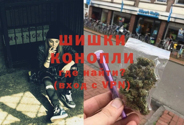 сатива Алексеевка