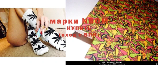 сатива Алексеевка